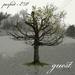 Perfect - EP