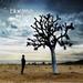 "Your Love" by Bluetree