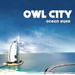 "If My Heart Was A House (iTunes Bonus)" by Owl City
