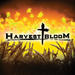Harvest Bloom EP