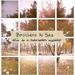 "Sad Freedom" by Brothers At Sea