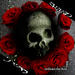 Embrace the Dead 1999