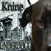 Underdogg