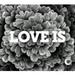 Love Is