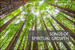 Songs of Spiritual Growth