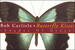 Bob Carlisle's 'Butterfly Kisses' Turns 25