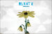 Relient K's MmHmm 20th Anniversary Retrospective