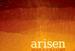 Arisen 