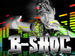 B-SHOC 