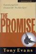 The Promise