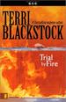 Trial by Fire (Newpointe 911 Series #4)