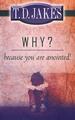 Why? Because You Are Anointed