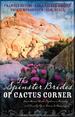 The Spinster Brides of Cactus Corners: The Spinster and the Cowboy/The Spinster and the Lawyer/The Spinster and the Doctor/The Spinster and the Tycoon (Heartsong Novella Collection)