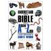 Understand Your Bible from Adam to Zion