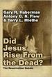Did Jesus Rise from the Dead?: The Resurrection Debate