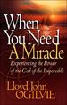 When You Need a Miracle: Experiencing the Power of the God of the Impossible