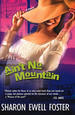Ain't No Mountain