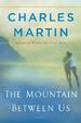The Mountain Between Us: A Novel