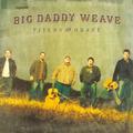 Fields Of Grace by Big Daddy Weave  | CD Reviews And Information | NewReleaseToday