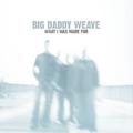 What I Was Made For by Big Daddy Weave  | CD Reviews And Information | NewReleaseToday