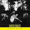 The Peace of Wild Things by Paper Route  | CD Reviews And Information | NewReleaseToday