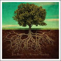 Roots of Worship by Jon Bauer | CD Reviews And Information | NewReleaseToday
