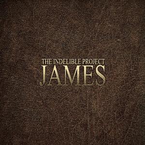 James (feat. Taylor McCall) by The Indelible Project  | CD Reviews And Information | NewReleaseToday