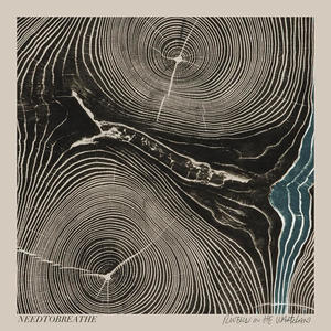 Rivers in the Wasteland by NEEDTOBREATHE  | CD Reviews And Information | NewReleaseToday
