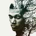 Rise by Trip Lee | CD Reviews And Information | NewReleaseToday