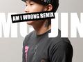Am I Wrong Remix by MC Jin  | CD Reviews And Information | NewReleaseToday