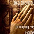 Bringing Me Home - Single by Big Dismal  | CD Reviews And Information | NewReleaseToday