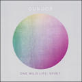 One Wild Life: Spirit by Gungor  | CD Reviews And Information | NewReleaseToday