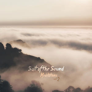 Meditations, Vol. 2 by Salt Of The Sound  | CD Reviews And Information | NewReleaseToday
