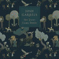 The Light Came Down by Josh Garrels | CD Reviews And Information | NewReleaseToday