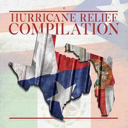 The Hurricane Relief Compilation: 40 Days by Various Artists  | CD Reviews And Information | NewReleaseToday
