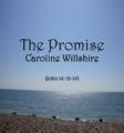 The Promise by Caroline Willshire | CD Reviews And Information | NewReleaseToday