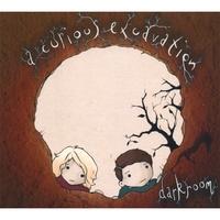 A Curious Excavation by darkroom  | CD Reviews And Information | NewReleaseToday