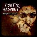 Fragile Frame by Poetic Descent  | CD Reviews And Information | NewReleaseToday