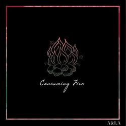Consuming Fire (Single) by Austin & Lindsey Adamec | CD Reviews And Information | NewReleaseToday