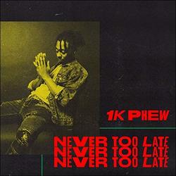 Never Too Late by 1K Phew  | CD Reviews And Information | NewReleaseToday