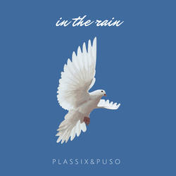 In the Rain by Plassix&Puso  | CD Reviews And Information | NewReleaseToday