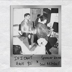 If I Can't Have You (feat. Levi Mitchell) (Cover) (Single) by Spencer Kane | CD Reviews And Information | NewReleaseToday