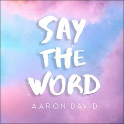 Say The Word (Single) by Aaron David | CD Reviews And Information | NewReleaseToday