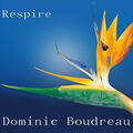 Respire (Single) by Dominic Boudreau | CD Reviews And Information | NewReleaseToday