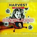 Harvest 2000 by Crystal Lewis | CD Reviews And Information | NewReleaseToday