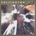 Beyond It (Single) by Collington  | CD Reviews And Information | NewReleaseToday