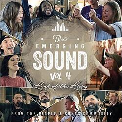The Emerging Sound, Vol. 4 by People & Songs  | CD Reviews And Information | NewReleaseToday