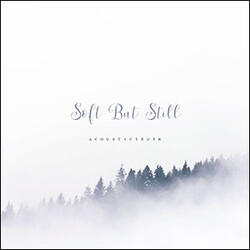 Soft But Still by Acoustic Truth  | CD Reviews And Information | NewReleaseToday