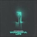 Wonderful Life (Single) by Matthew West | CD Reviews And Information | NewReleaseToday