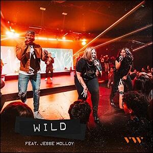 Wild (Live) (Single) by Vive Worship  | CD Reviews And Information | NewReleaseToday